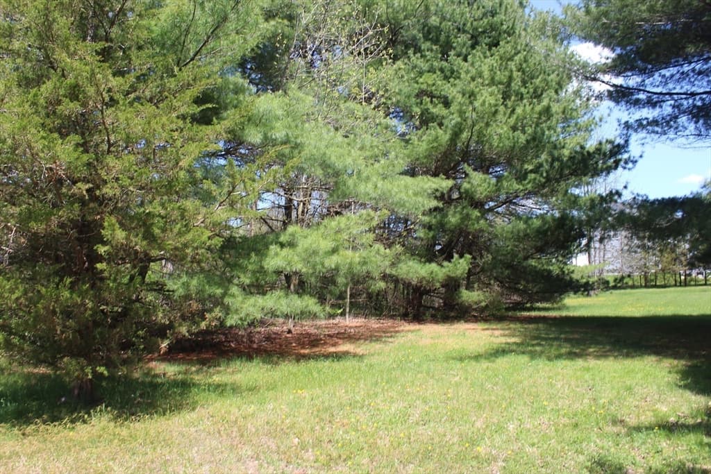 5 Paddock Lane photo 2