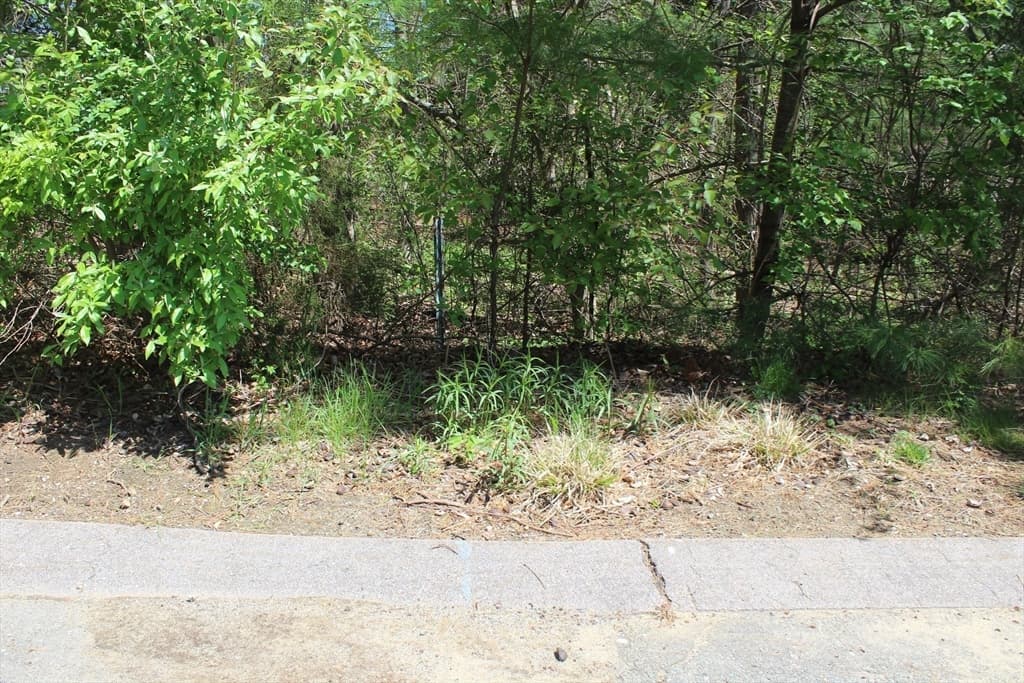 5 Paddock Lane photo 4