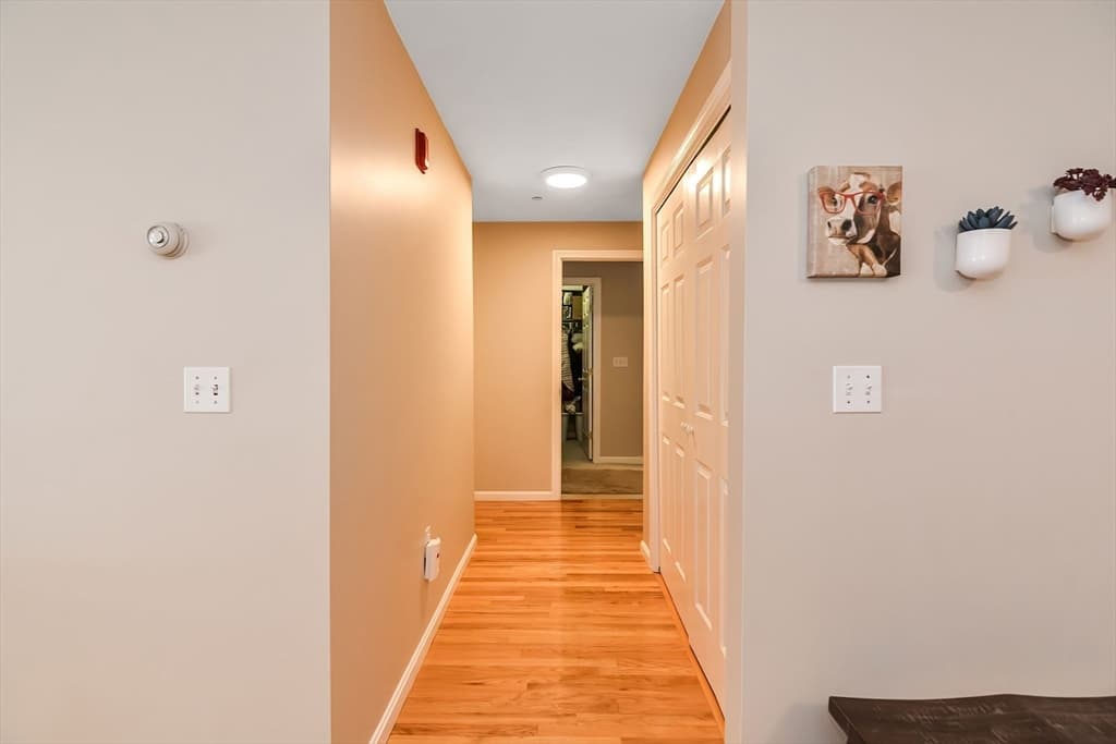 107 Foster St #204 photo 3