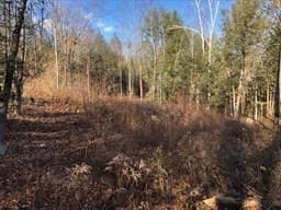 0 Potato Hill photo 3