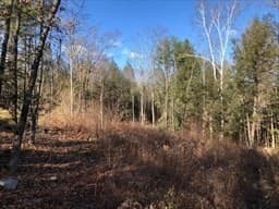 0 Potato Hill photo 5