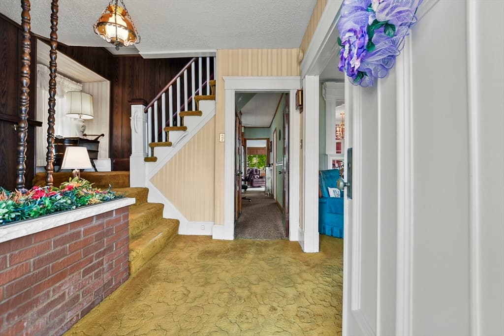 64 Hawthorn Street photo 5