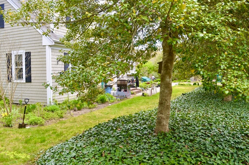 226 Cotuit Rd photo 3