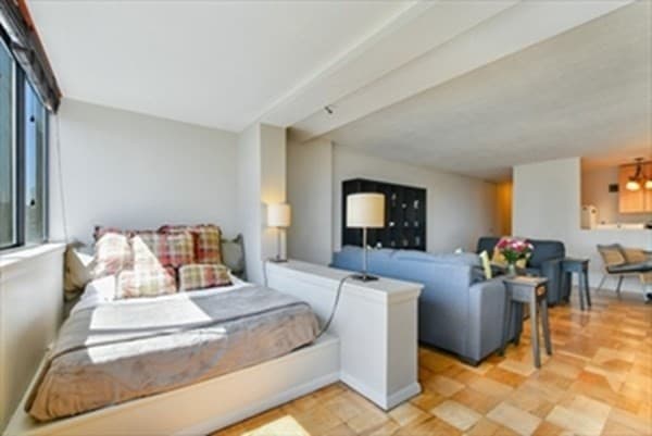 2 Hawthorne Place #14L photo 5