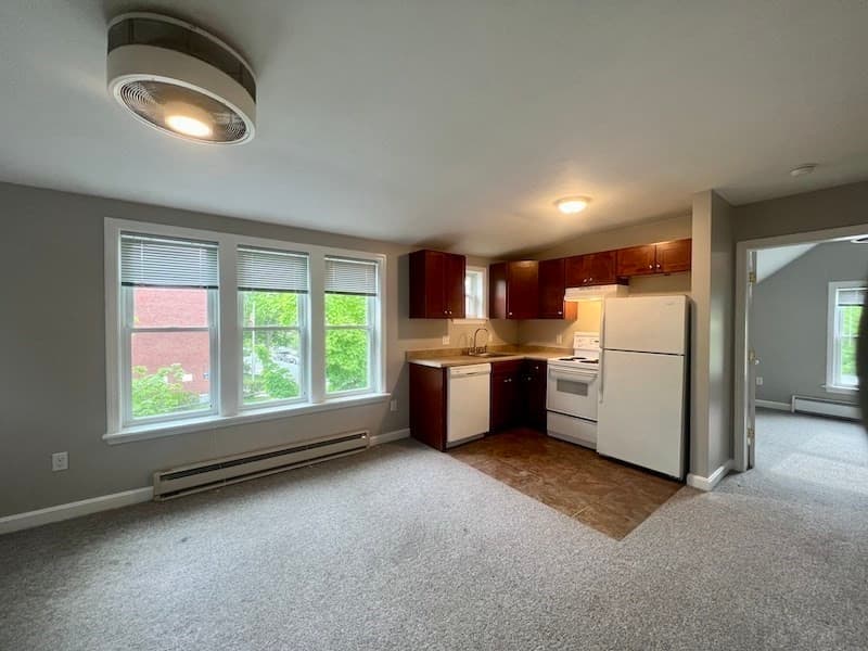17 Sanborn Street #E