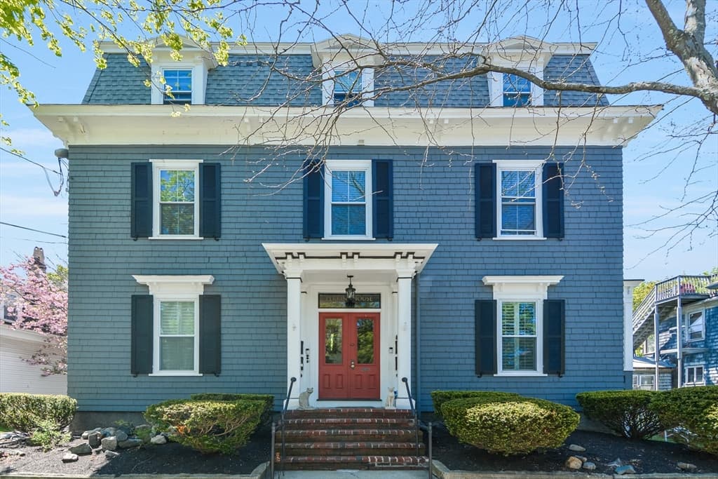 6 Linden #2