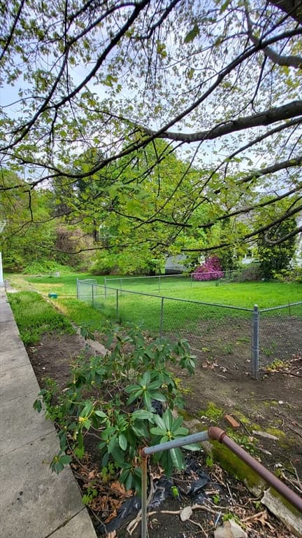 231 Sladen Street #231 photo 2