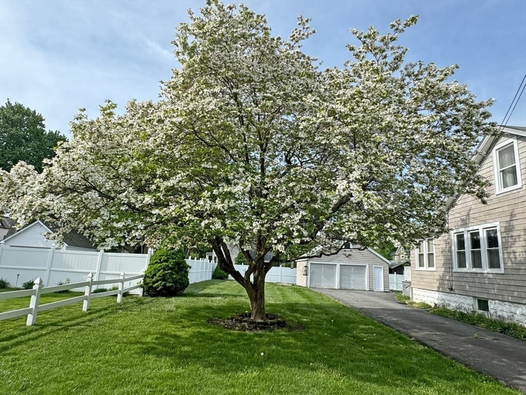 28 Kenwood Street photo 3