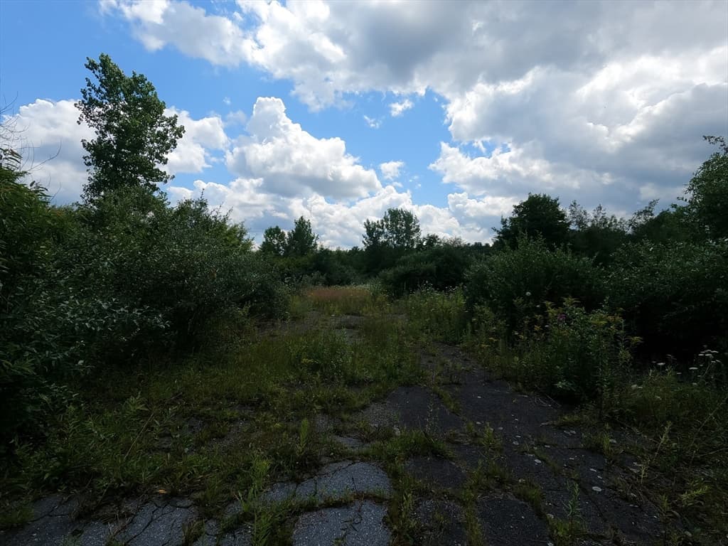 Lot 64 Mill St photo 2