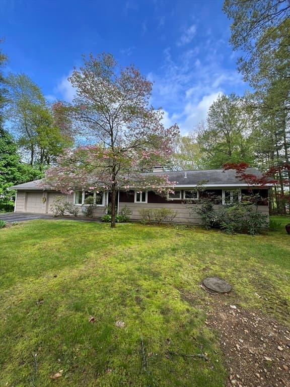 11 Elsbeth Rd