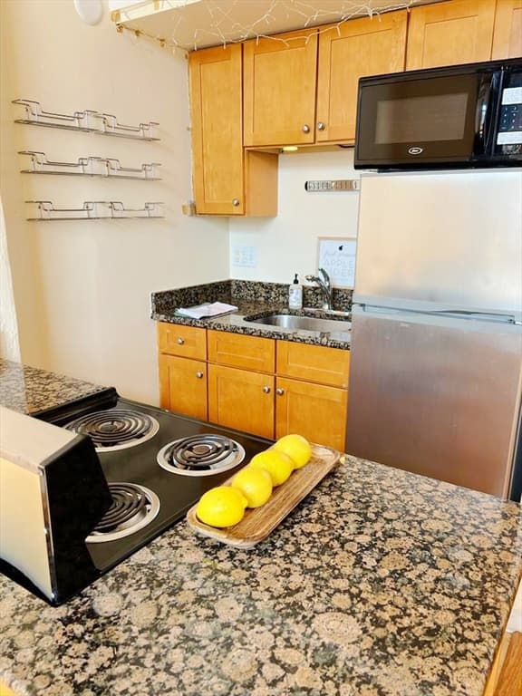 12 Stoneholm Street #527 photo 3