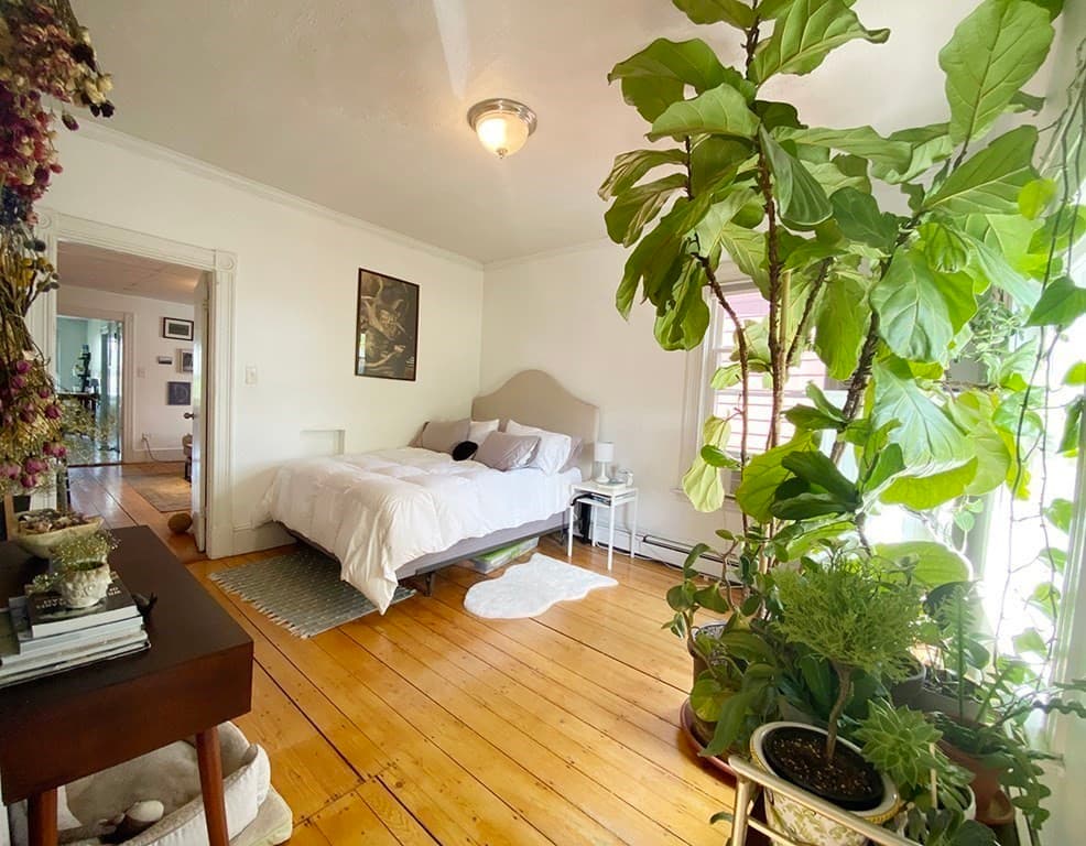 496 Sumner Street #3 photo 3