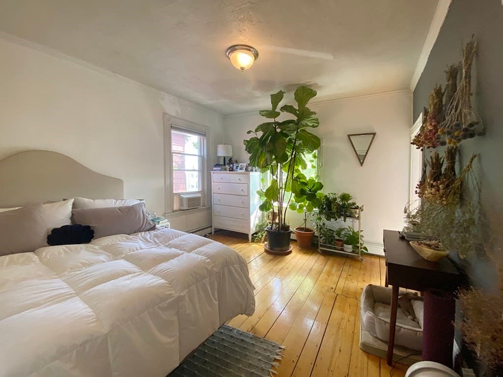 496 Sumner Street #3